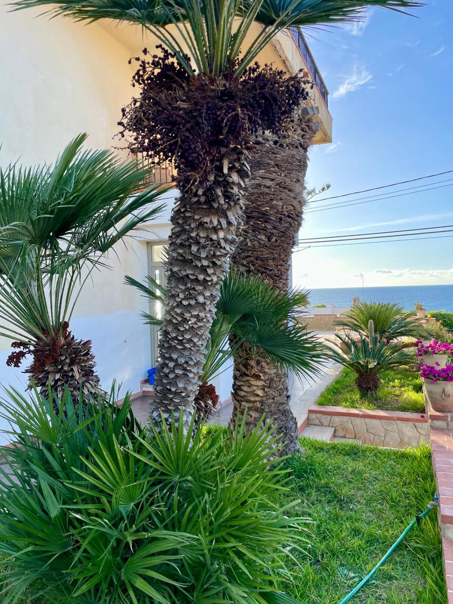 Villa Sul Mare Palazzolo Trappeto  Luaran gambar